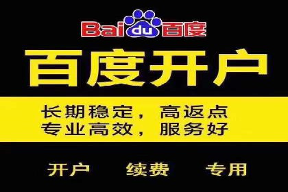 百度竞价赚钱的五大策略及成功案例解读